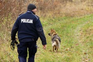 kolorowe zdjęcia z służbowego życia Foxi psa służbowego spotkania w szkołach z dziećmi oraz służba.
