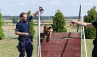 W Prudniku odbyły się ćwiczenia przewodników psów służbowych. Tym razem w ramach szkolenia ćwiczono m.in. posłuszeństwo, pokonywanie przeszkód terenowych oraz wykrywanie zapachów narkotyków i materiałów wybuchowych. W ćwiczeniach oprócz prudnickich policjantów brali również udział funkcjonariusze z Nysy, Krapkowic, Głubczyc oraz Opola.