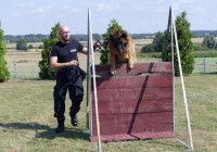 W Prudniku odbyły się ćwiczenia przewodników psów służbowych. Tym razem w ramach szkolenia ćwiczono m.in. posłuszeństwo, pokonywanie przeszkód terenowych oraz wykrywanie zapachów narkotyków i materiałów wybuchowych. W ćwiczeniach oprócz prudnickich policjantów brali również udział funkcjonariusze z Nysy, Krapkowic, Głubczyc oraz Opola.